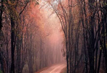 有哪些靠谱的网球免费观看直播平台？